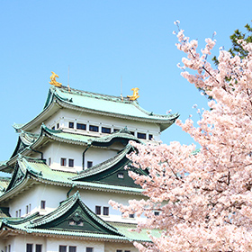 愛知のお花見情報 2026